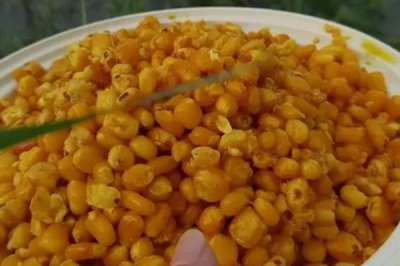 钓大鱼适合用什么饵料,蚯蚓、玉米、红薯等饵料均是不错的选择