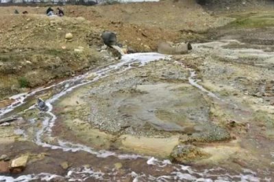 科学施用钾肥的注意事项,钾肥应早施