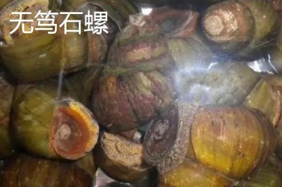 广东省四会市的特产,四会玉器闻名遐迩
