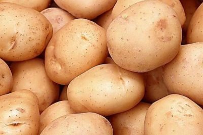 马铃薯的品种介绍,有不同颜色的