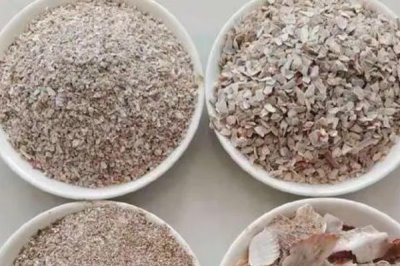 羊吃些什么东西,吃粗饲料和精饲料等