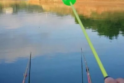 钓淡水鲳鱼用什么饵料,首选的饵料就是荤饵