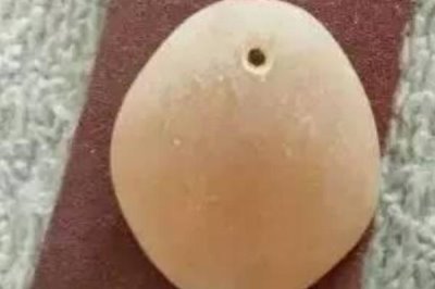 什么是青鱼石,属于青鱼咽喉部位的增生角质