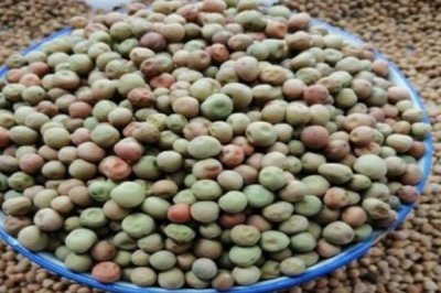 蔬菜种子如何催芽，以下3种方法任选