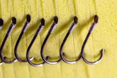 7号伊豆钩适合钓多大的鱼,最大拉力值可达到5千克