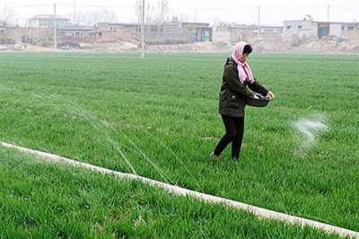 撒化肥三天下雨是否还有效，肥效一般不会消失