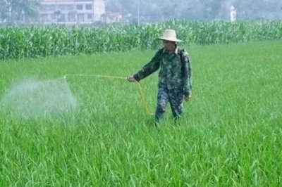 啶虫脒和吡虫啉能不能混用,二者可以混用