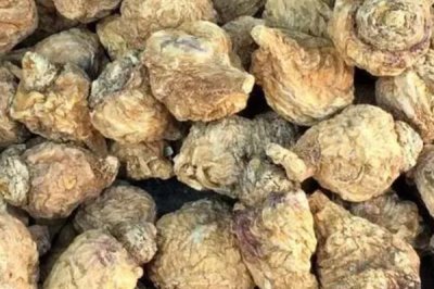 玛卡的产地,原产南美洲安第斯山脉