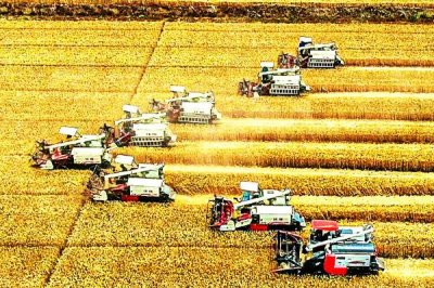 三农工作的重要性,能保持经济持续健康发展