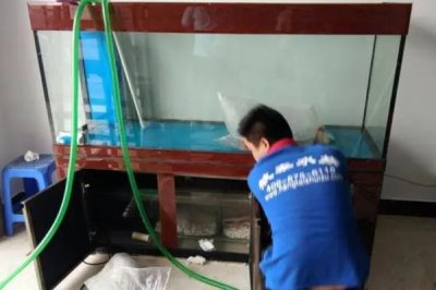 旧鱼缸的清洗方法,需先将鱼儿捞出再消毒