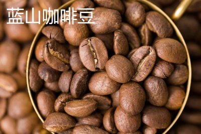 咖啡豆的种类，口感均不同