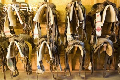 新疆塔城市的特产,乌苏柳花茶被视为茶中极品