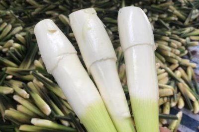 哪些作物的种植前景比较好,当前可以考虑蓝宝石葡萄、白草莓、秋葵等果蔬