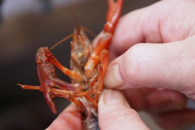 岳阳小龙虾出名原因，原因是口感鲜美且当地交通便利