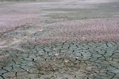 新挖的鱼塘养鱼前要怎么处理，需反复多次放入清水进行清洗和暴晒