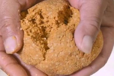 春季钓草鱼技巧，五月的阴雨天气更加适合作钓