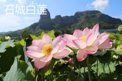 江西赣州市的特产,赣南脐橙成为赣州名片