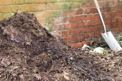 食用菌追肥的注意事项,常用的方法便是喷洒施肥