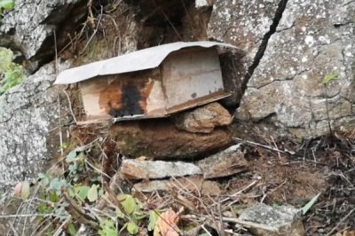 南方如何诱蜂及注意事项,利用蜂蜡可吸引侦查蜂