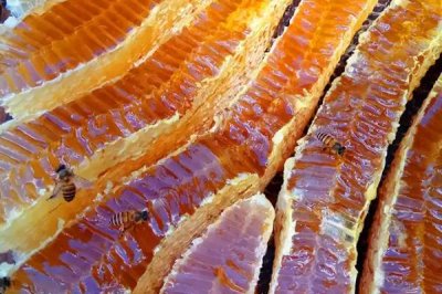 正宗蜂蜜的价格，一斤土蜂蜜需要100-300元左右